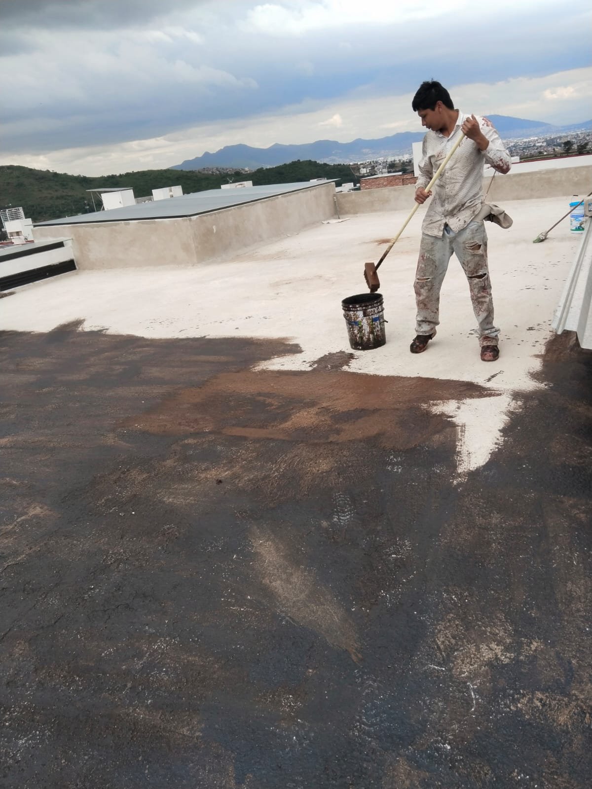 Aplicación De Primario